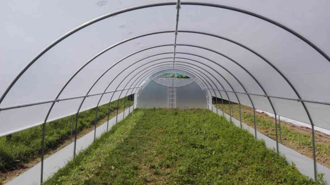 TOP – skleník PROFI šíře 4,5m - foto 6