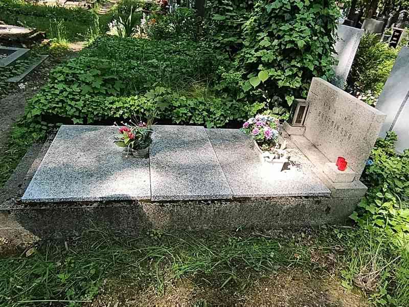 Přenechám pronájem hrobového místa na Olšanských hřbitovech - foto 3