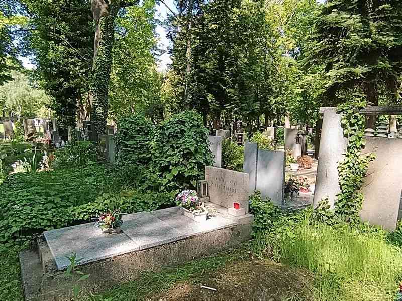 Přenechám pronájem hrobového místa na Olšanských hřbitovech - foto 5