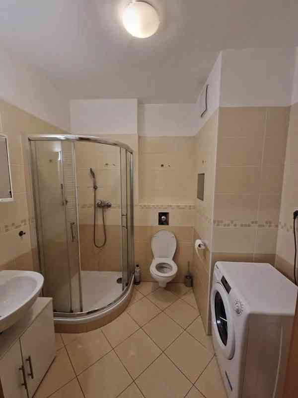 Pronájem bytu 1+kk 40 m² - foto 9