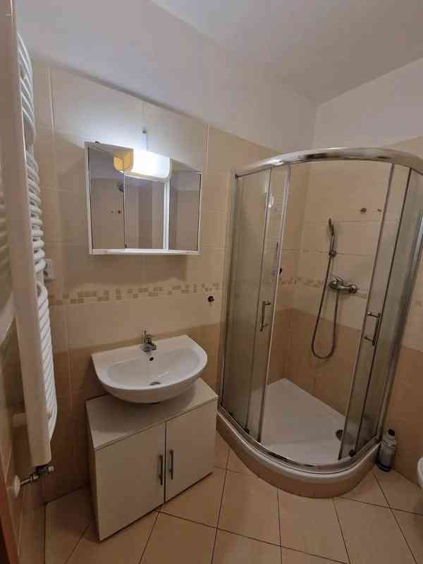 Pronájem bytu 1+kk 40 m² - foto 10