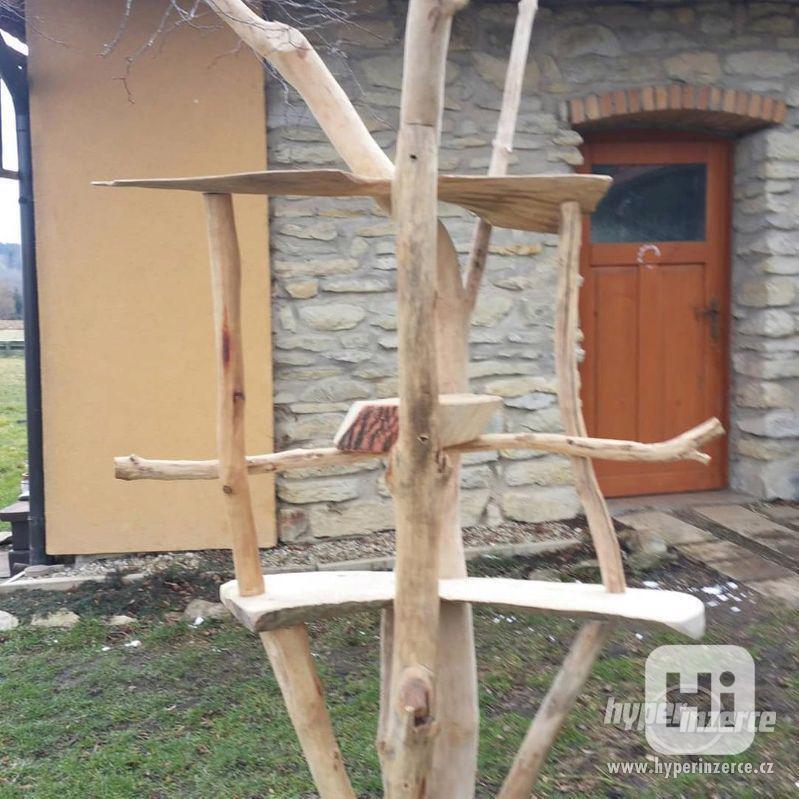 Strom pro kočky - foto 1