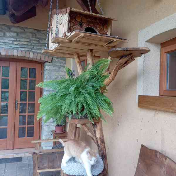 Strom pro kočky - foto 4