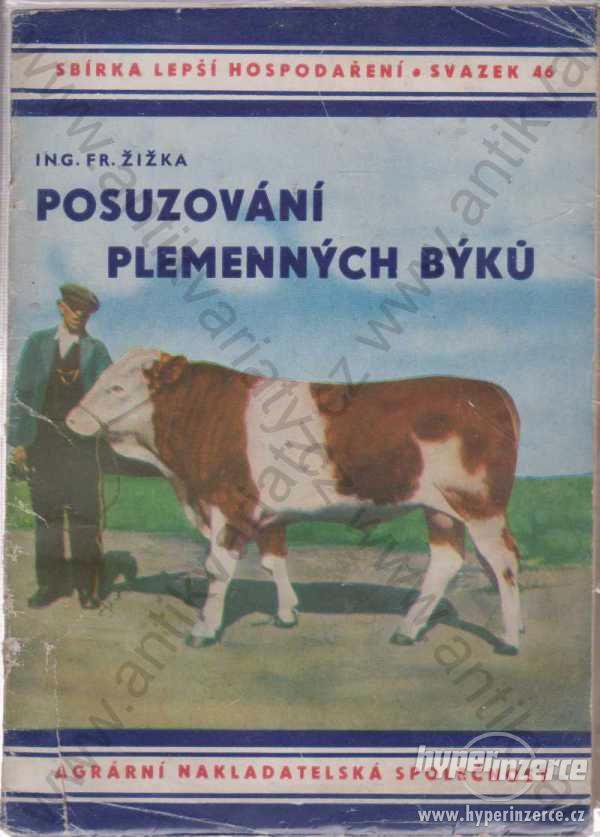 Posuzování plemenných býků Ing. Fr. Žižka 1944 - foto 1