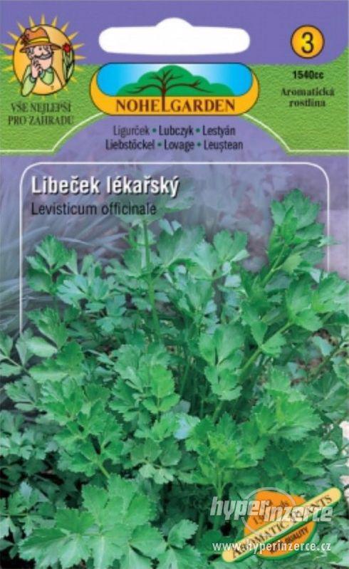 Libeček lékařský (semena)  / www.rostliny-prozdravi.cz - foto 1