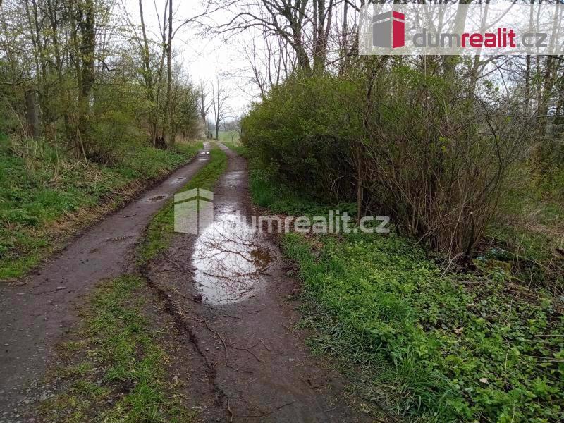 Prodej  pozemku  ve Verneřicích -  Rytířově, celková výměra 1666m2 - foto 3