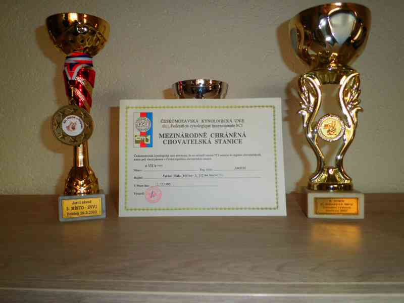 Supr štěńata něm.ovčáků s PP - foto 12