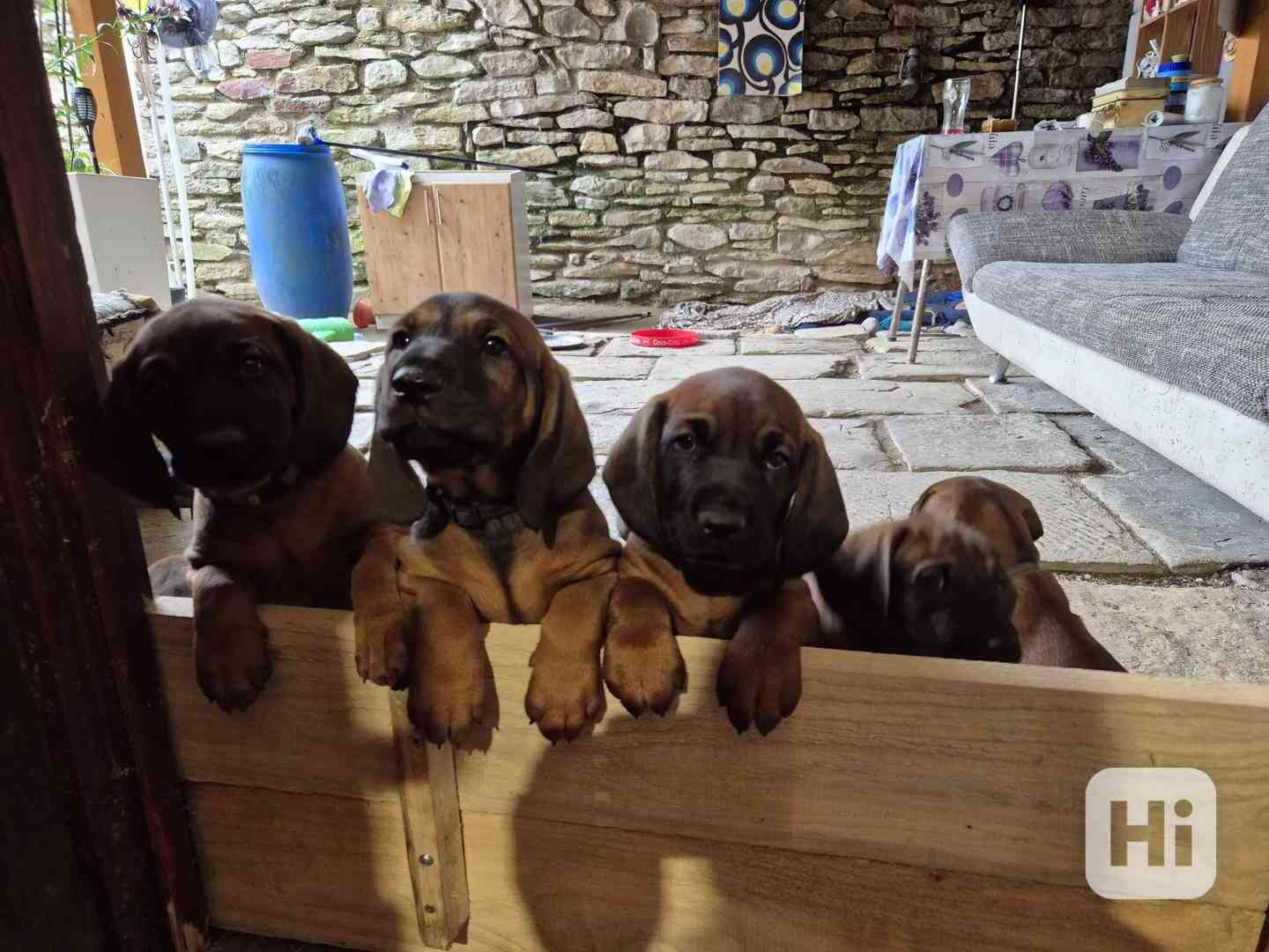 Stĕňata - foto 1