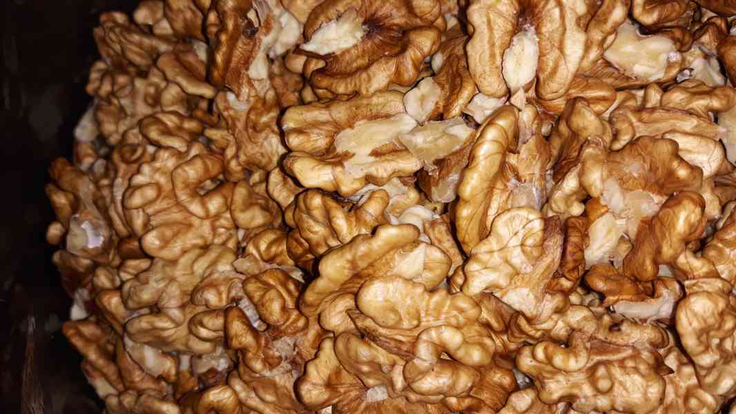 prodej vylouskaných vlašských ořechu 1kg za200kč - foto 1