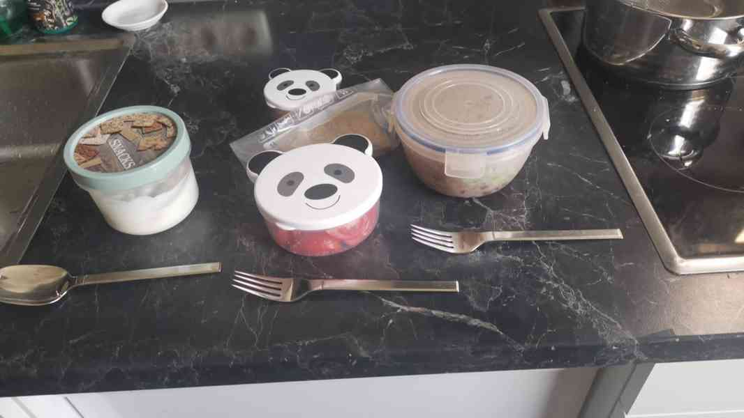 Krycí pes - Americký bezsrstý teriér  - foto 4