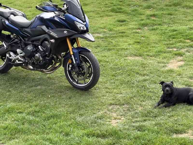 Yamaha Tracer 900 GT - foto 5