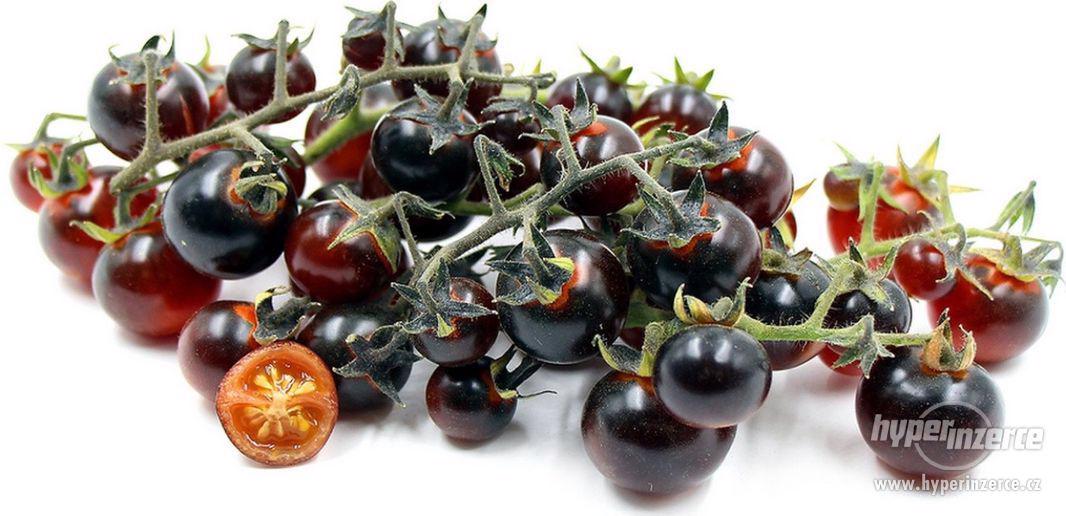 Rajče Indigo blue berries - semena - foto 1