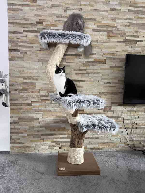 Škrabadlo pro velké kočky 