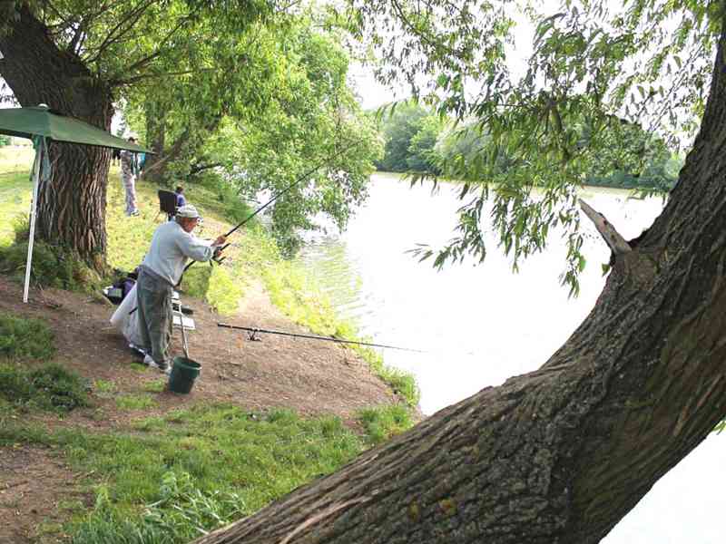Pronajmu novostavbu 2+kk Slavkov u Brna. 62 m2 - foto 27