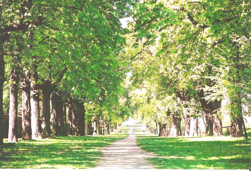 Pronajmu novostavbu 2+kk Slavkov u Brna. 62 m2 - foto 25