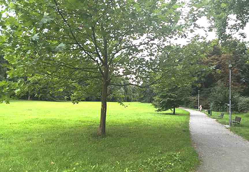 Pronajmu novostavbu 2+kk Slavkov u Brna. 62 m2 - foto 29