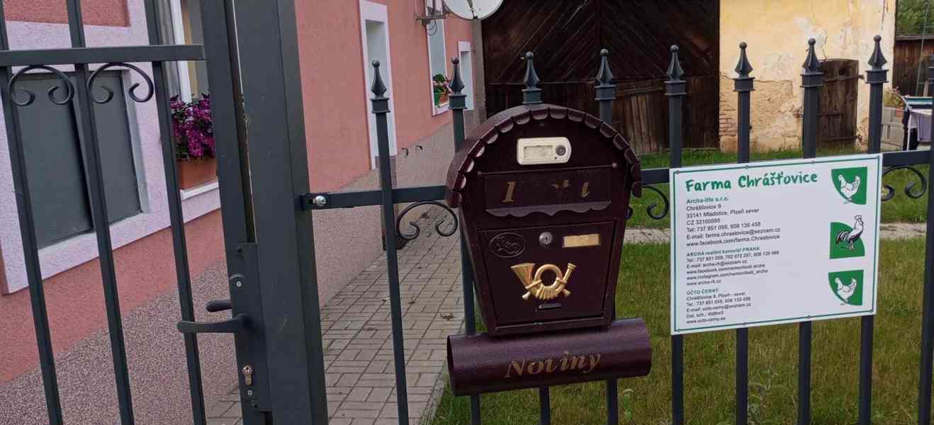 🦆 Prodej KACHŇAT 🦆 - foto 6