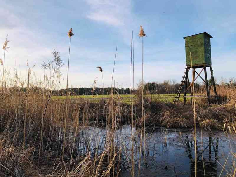 Veľký Investičný Pozemok - foto 13