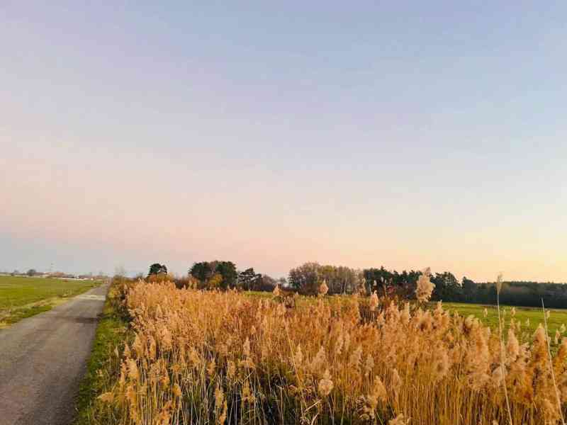 Veľký Investičný Pozemok - foto 19