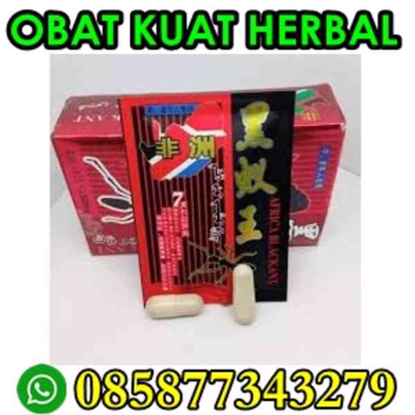 Africa Black Ant Wa 08981320772 Obat Kuat Herbal Kulonprogo - foto 1