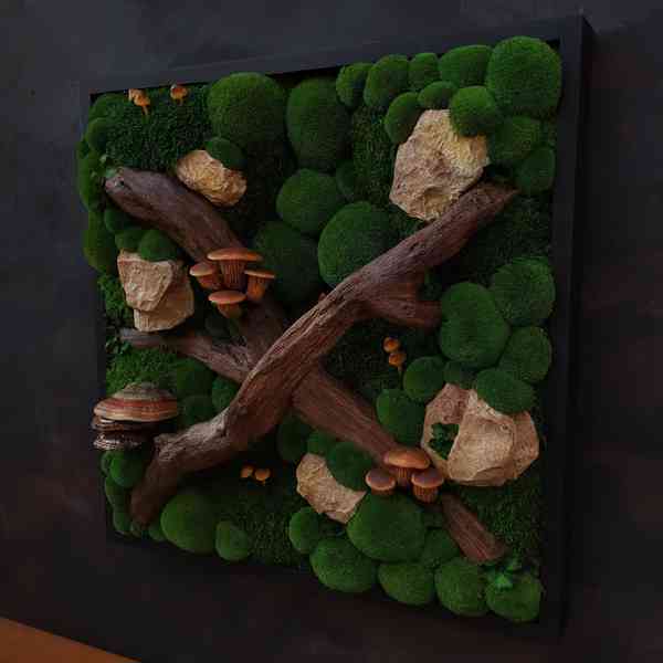 Mechový obraz / obraz ze stabilizovaného mechu - foto 2