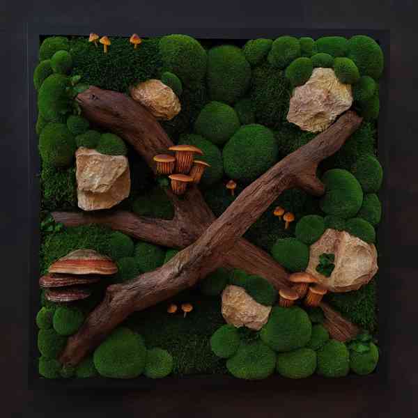 Mechový obraz / obraz ze stabilizovaného mechu