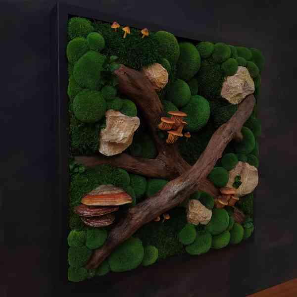 Mechový obraz / obraz ze stabilizovaného mechu - foto 3