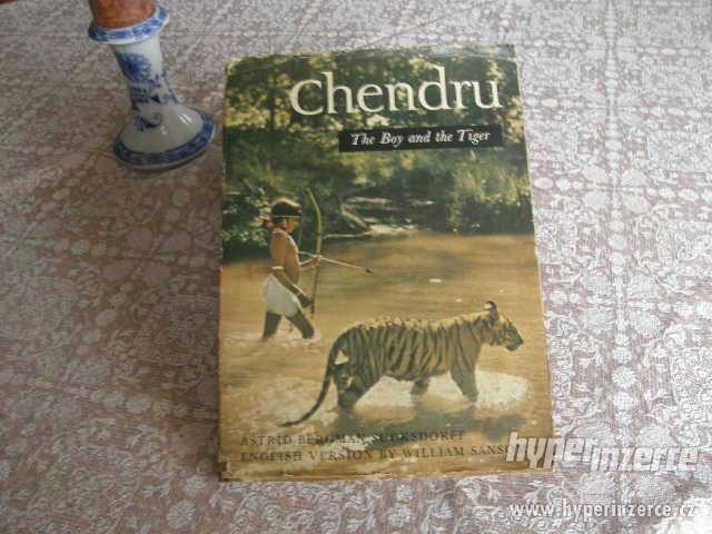 Chendru - The Boy and the Tiger - foto 1