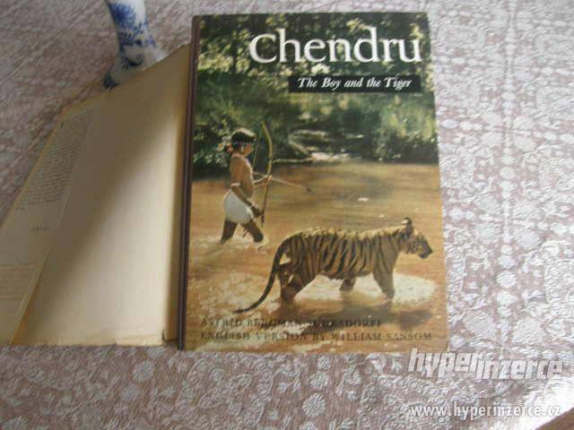Chendru - The Boy and the Tiger - foto 2