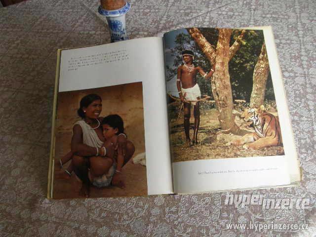 Chendru - The Boy and the Tiger - foto 9