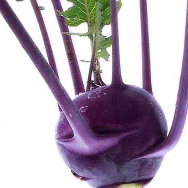 Kedluben Violeta - semena