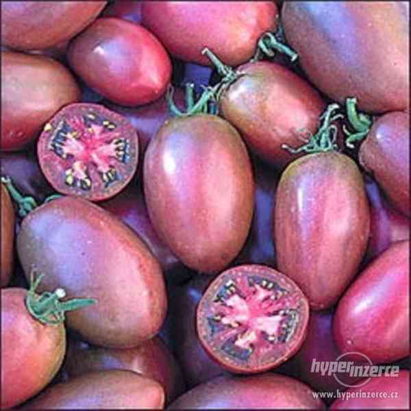 Rajče Purple Russian Plum - semena - foto 1
