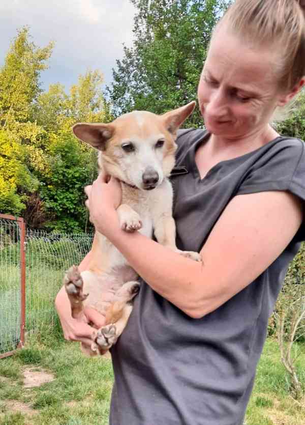 DANEČEK - 6,5 kg - foto 3