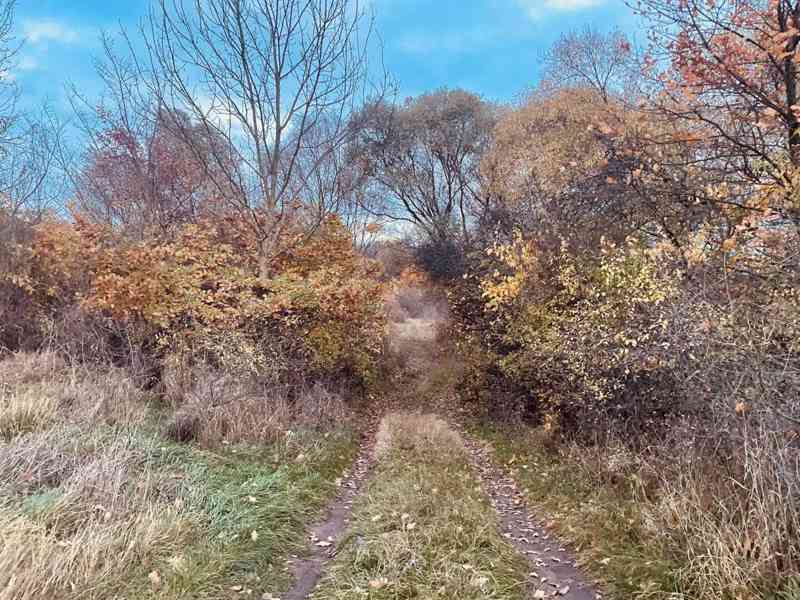 Pozemok - Lúka, Malé Leváre, 26 385 m² - foto 4