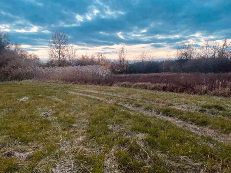 Pozemok - Lúka, Malé Leváre, 26 385 m² - foto 9