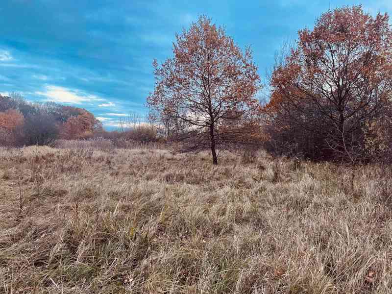 Pozemok - Lúka, Malé Leváre, 26 385 m² - foto 7