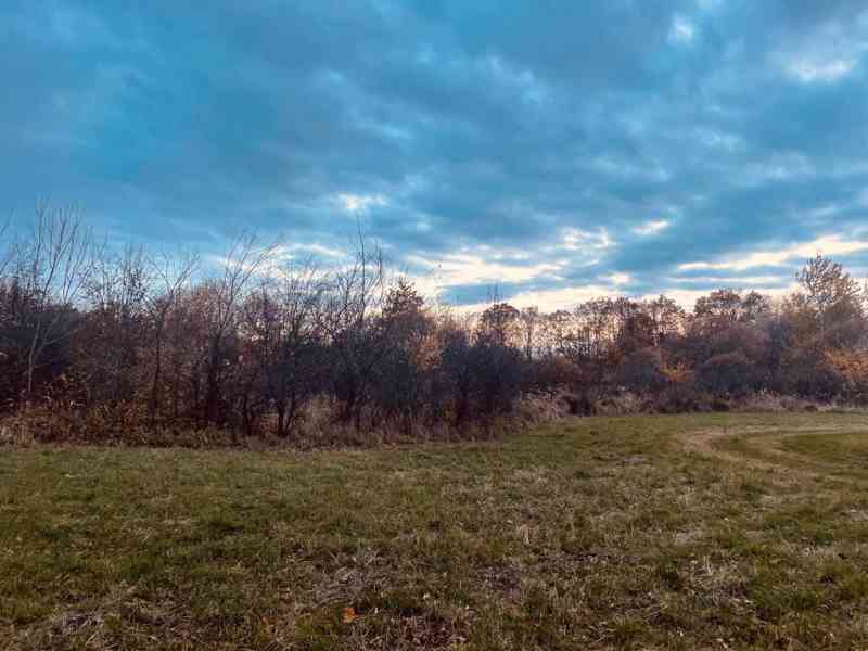 Pozemok - Lúka, Malé Leváre, 26 385 m² - foto 13