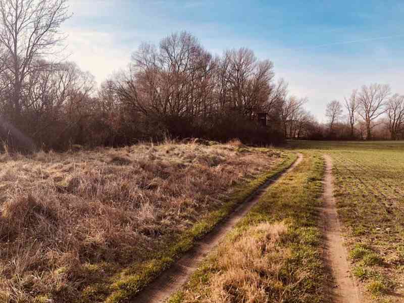 Pozemok - Lúka, Malé Leváre, 26 385 m² - foto 3