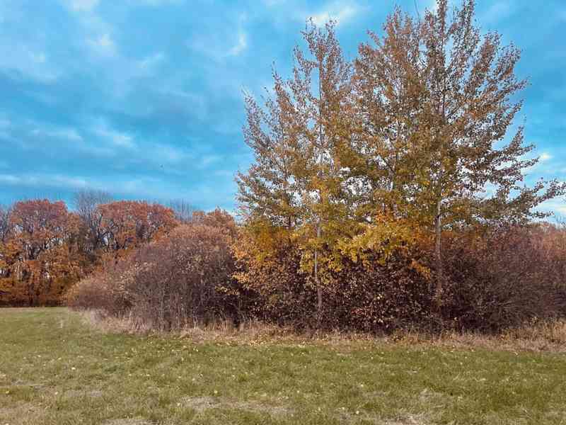 Pozemok - Lúka, Malé Leváre, 26 385 m² - foto 16