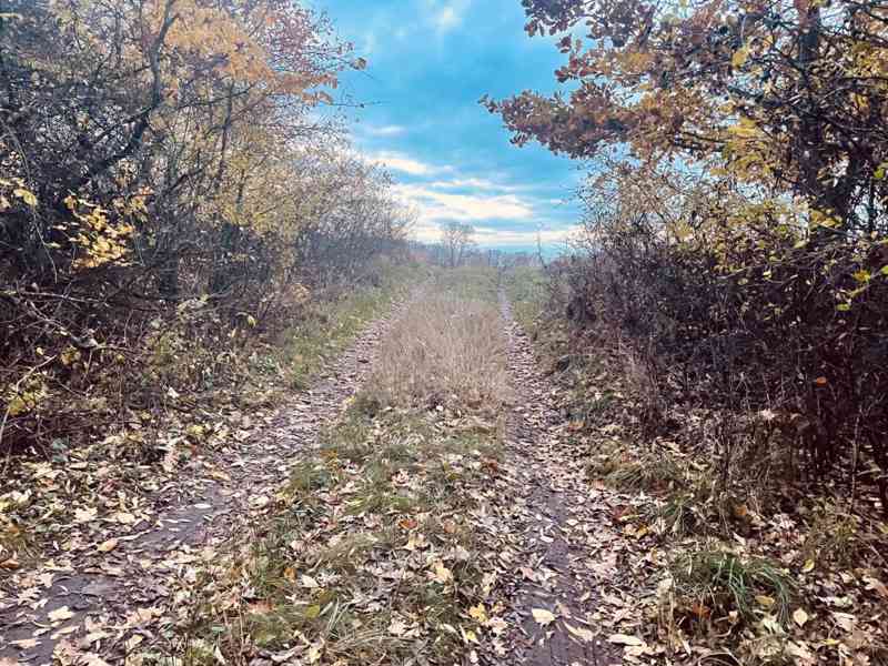 Pozemok - Lúka, Malé Leváre, 26 385 m² - foto 5