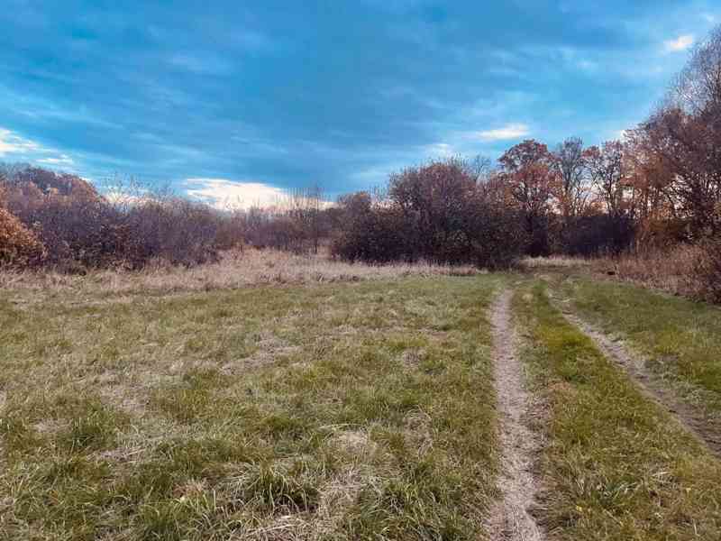 Pozemok - Lúka, Malé Leváre, 26 385 m² - foto 8