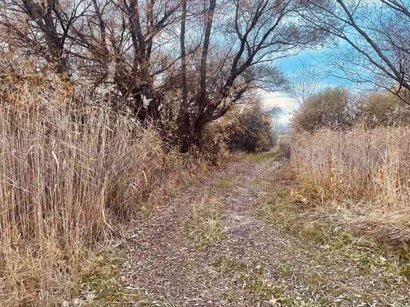 Pozemok - Lúka, Malé Leváre, 26 385 m² - foto 6