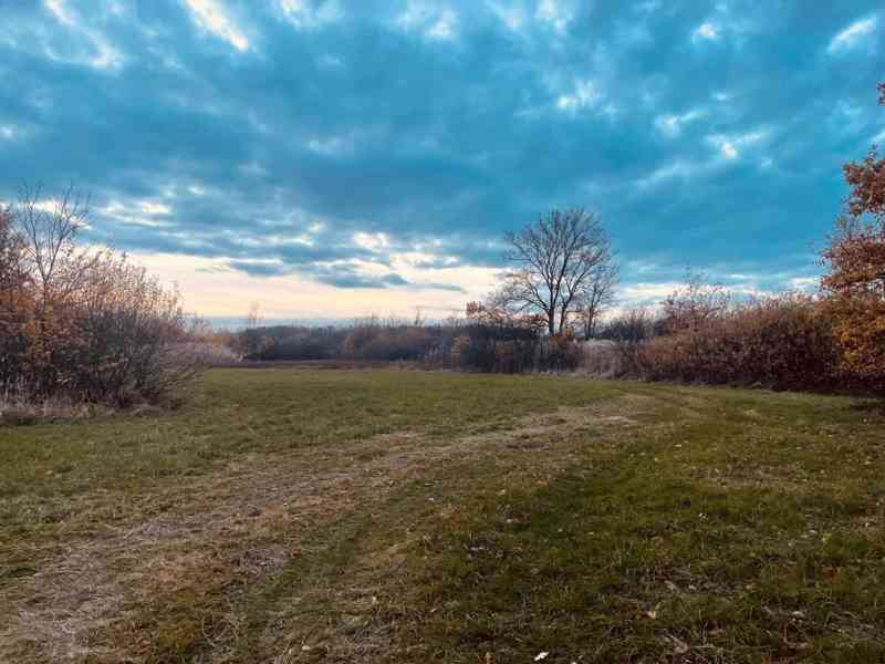 Pozemok - Lúka, Malé Leváre, 26 385 m² - foto 10