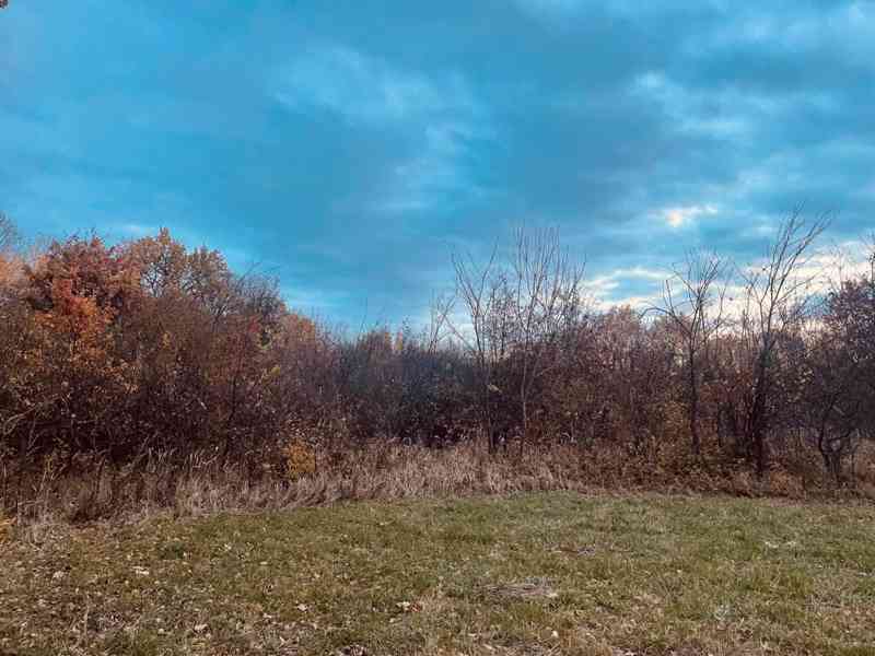 Pozemok - Lúka, Malé Leváre, 26 385 m² - foto 12