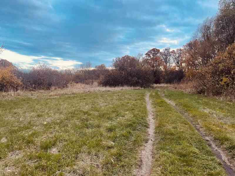 Pozemok - Lúka, Malé Leváre, 26 385 m² - foto 15