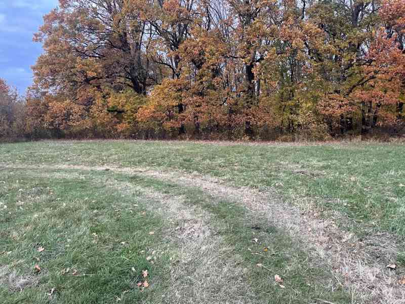 Pozemok - Lúka, Malé Leváre, 26 385 m² - foto 11