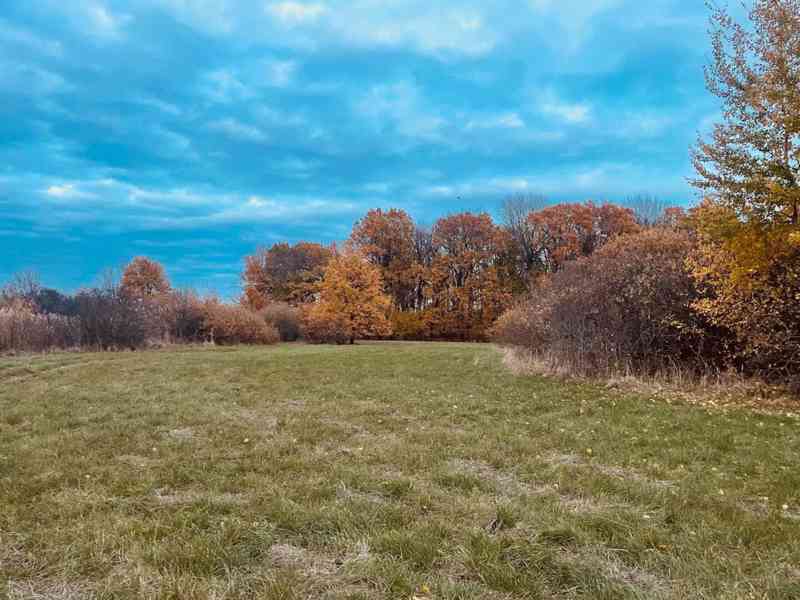 Pozemok - Lúka, Malé Leváre, 26 385 m² - foto 17