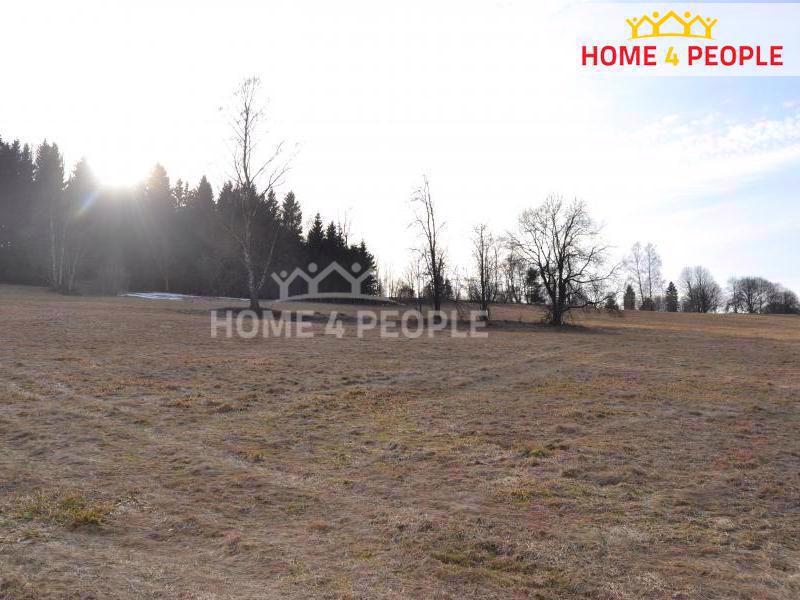  Prodej stavebního pozemku CP 9092 m2, Bublava - foto 6