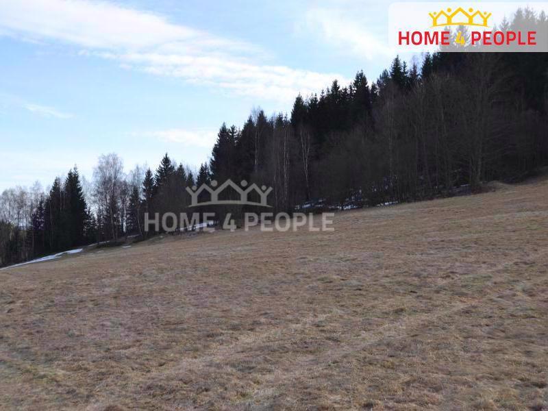  Prodej stavebního pozemku CP 9092 m2, Bublava - foto 5