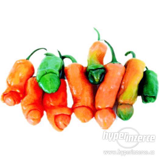 24-Chilli Orange Peter Penis Pepper (peniska)10 semen - foto 1